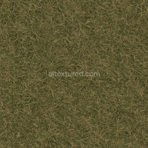 Rough Grass Texture