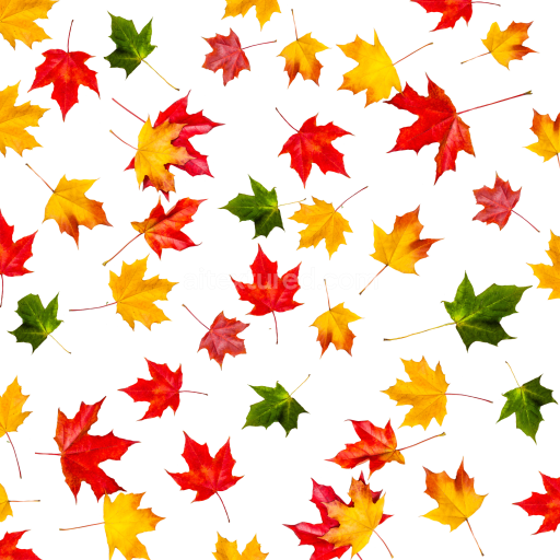 Seamless 3D PBR Texture of Colorful Autumn Maple Leaves on White Background