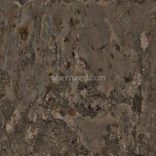 Bark Tree — Blue Gum Bark Bark Blue Gum — PBR seamless 3D texture