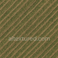 seamless Detailed Field Texture texture 1024x1024 free download PBR