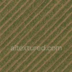 seamless Detailed Field Texture texture 8k free download PBR