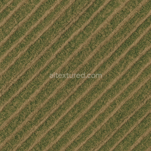 Detailed Field Texture