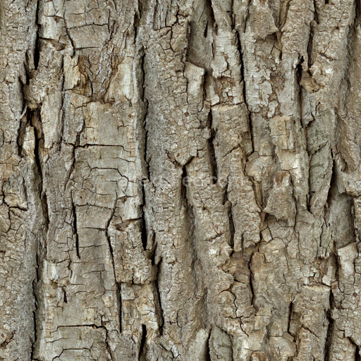Seamless Bark 8 by Share Textures – PBR 3D Texture (8K ready)