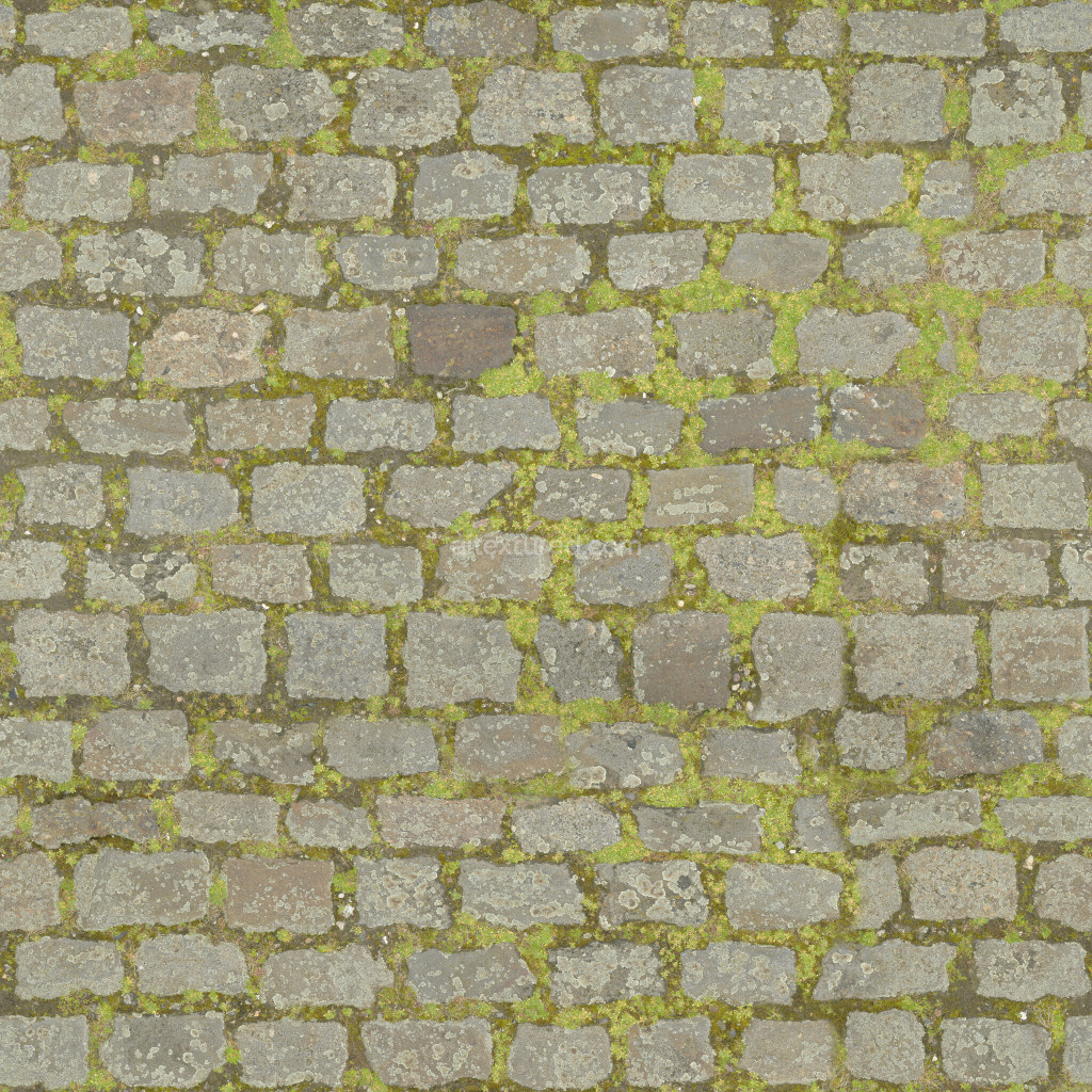 Seamless paving stones texture with moss and weathering