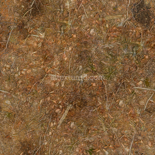 Leaves Nature Ground — Dirt Debris Dry Debris Dry Autumn — PBR seamless 3D texture