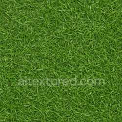 seamless Photorealistic Grass Seamless Texture texture 8k free download PBR