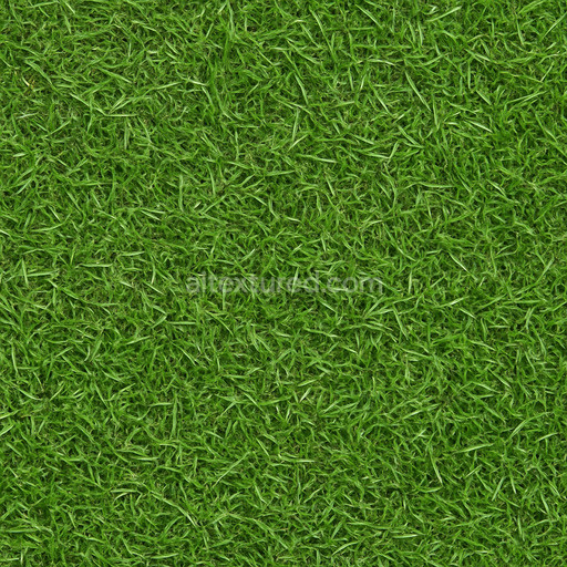 Photorealistic Grass Seamless Texture