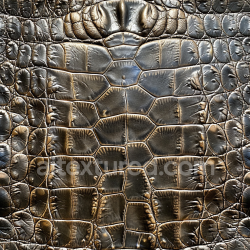seamless Seamless 3D PBR Dark Glossy Crocodile Leather Texture with Deep Grain and Natural Creases texture 8k free download PBR