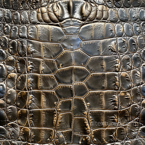 Dark Glossy Crocodile Leather Texture with Deep Grain and Natural Creases Leather texture preview
