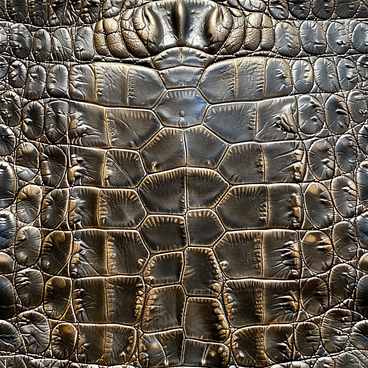 Dark Glossy Crocodile Leather with Deep Grain and Natural Creases seamless PBR texture preview