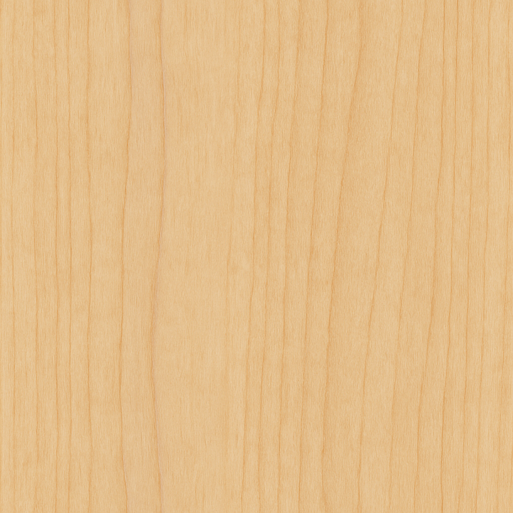 Birch Wood With Straight Grain And Satin Finish seamless PBR texture preview