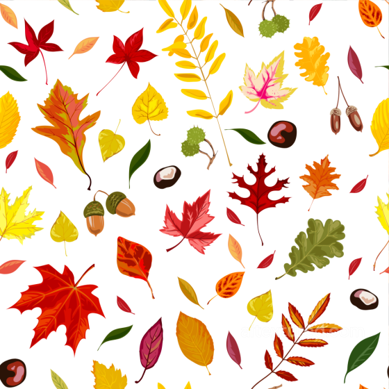 Colorful Autumn Leaves on White Background Seamless Texture Autumn Leaves texture preview