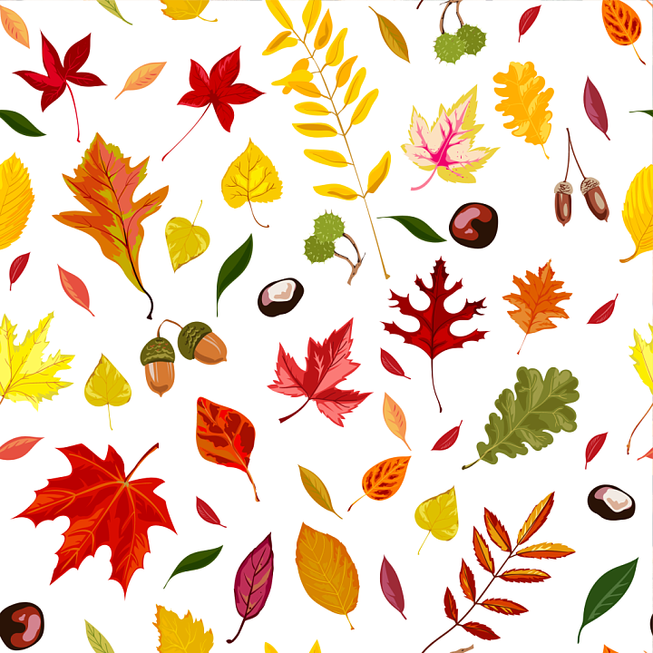 Colorful Autumn Leaves on White Background seamless PBR texture preview