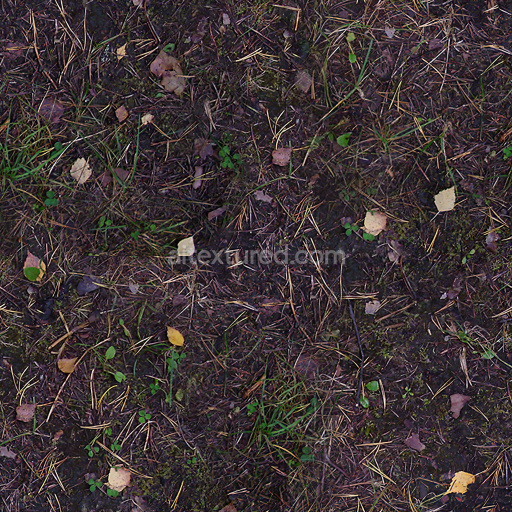 High-Quality Seamless Forest Ground Texture