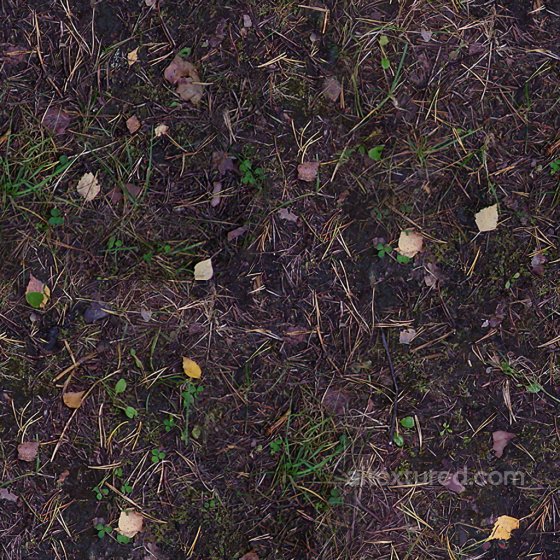 High-Quality Seamless Forest Ground Texture Ground surface texture preview