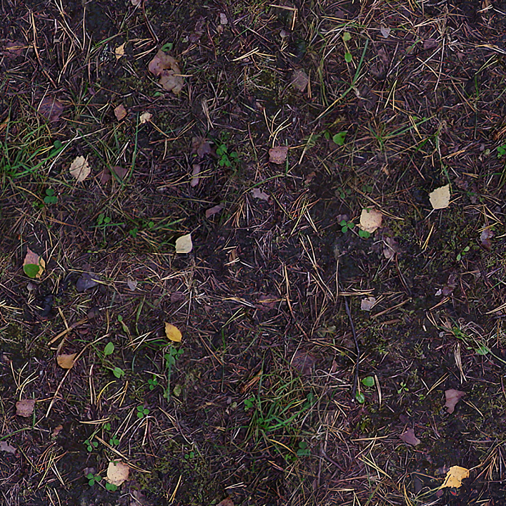 High-Quality Forest Ground seamless PBR texture preview