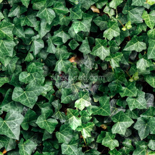 Seamless Ivy PBR Texture Collection