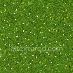 seamless Photorealistic Meadow Texture texture 8k free download PBR