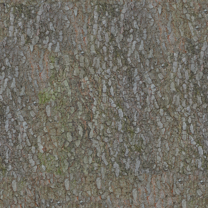 Bark 4 by Share Textures seamless PBR texture preview
