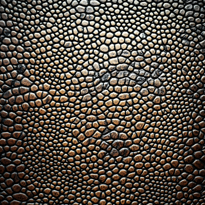 Reptile Scale Skin with Organic Surface Detail and Natural Color Variat… seamless PBR texture preview