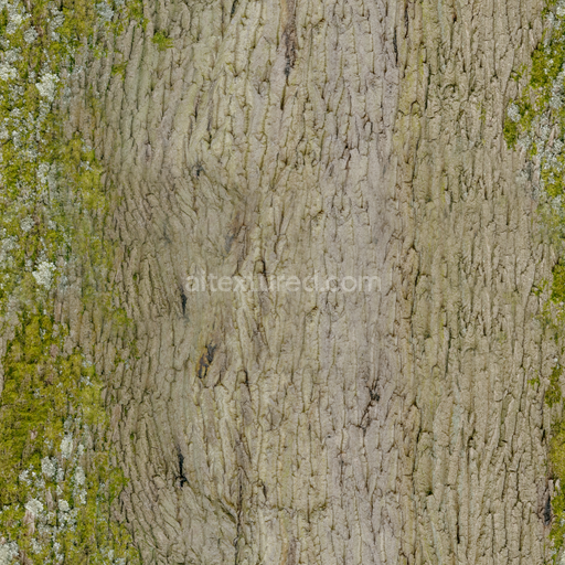 Bark Moss Rough — Moss Rough Old Tree Bark — PBR seamless 3D texture