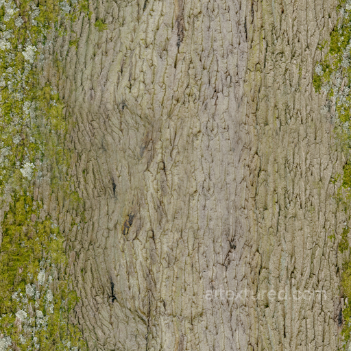 Bark Moss Rough - Moss Rough Old Tree Bark seamless Wood PBR texture
