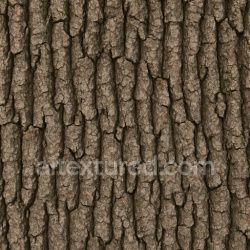 seamless High Resolution Oak Bark Texture Seamless 1024X1024 texture 1024x1024 free download PBR