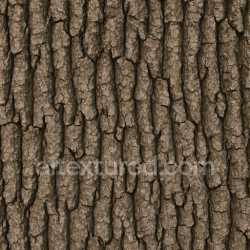 seamless High Resolution Oak Bark Texture Seamless texture 8k free download PBR