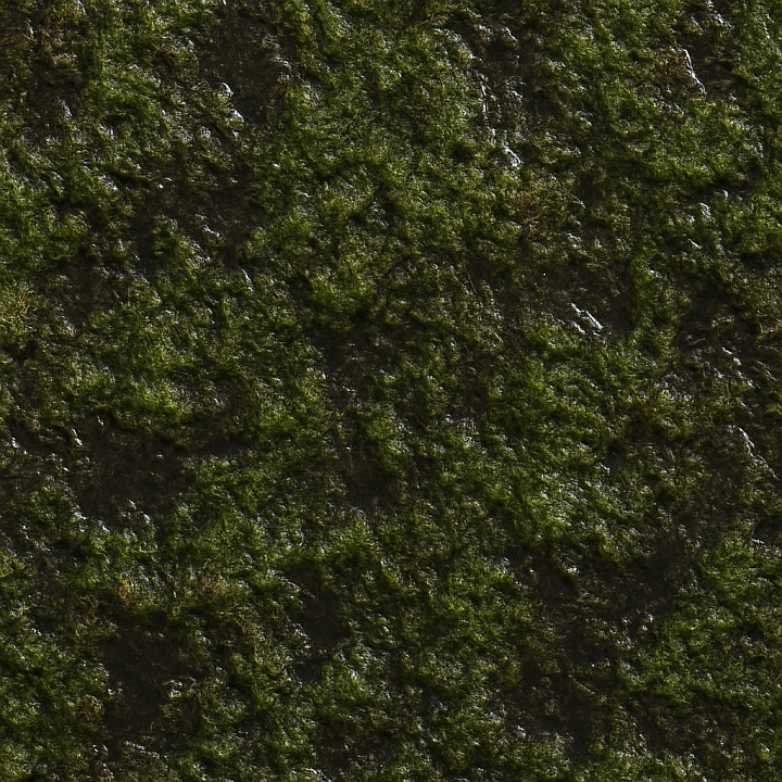Dirty Wet Moss seamless PBR texture preview