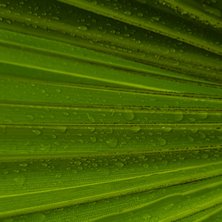 Green Fabric with Water Droplets seamless PBR texture preview