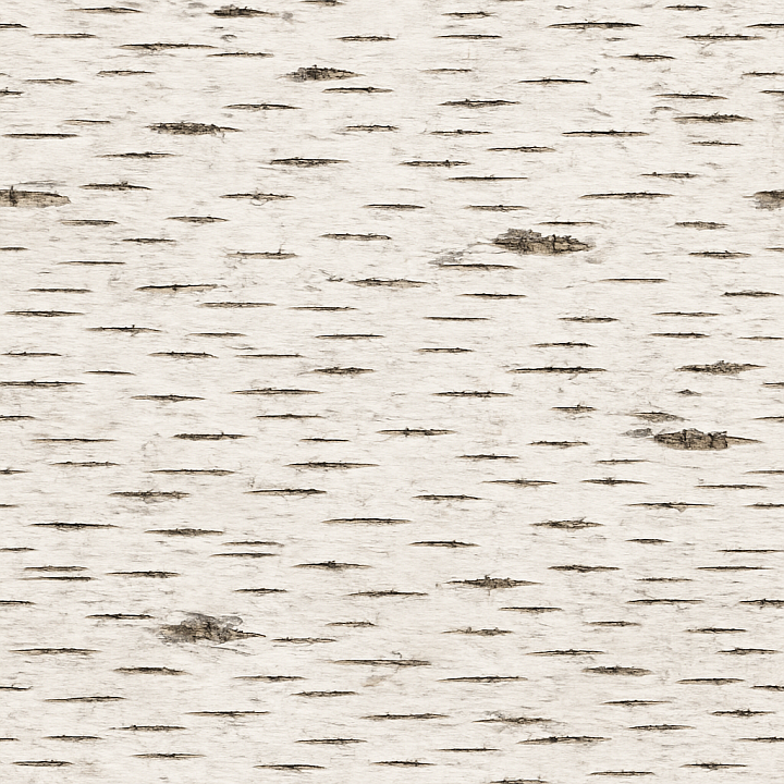 Birch Bark seamless PBR texture preview