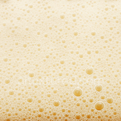 seamless Thick Beer Foam Seamless Texture texture 1024x1024 free download PBR
