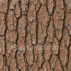 seamless Aged Pine Bark Texture Seamless 1024X1024 texture 1024x1024 free download PBR