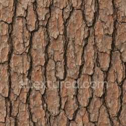 seamless Aged Pine Bark Texture Seamless texture 8k free download PBR