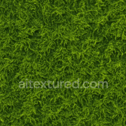 seamless Decorative Wet Moss Texture Seamless 1024X1024 texture 1024x1024 free download PBR