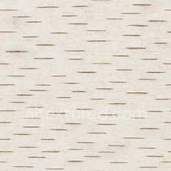 seamless Fine Birch Bark Texture Seamless texture 8k free download PBR