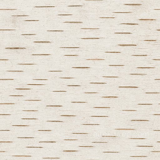 Fine Birch Bark Seamless Texture seamless Bark PBR texture