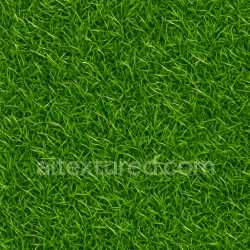seamless Shiny Grass Seamless Texture texture 8k free download PBR