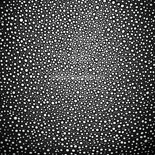 Seamless 3D Skin PBR Texture Featuring Highly Porous Black and White Surface with Detailed Organic Structure