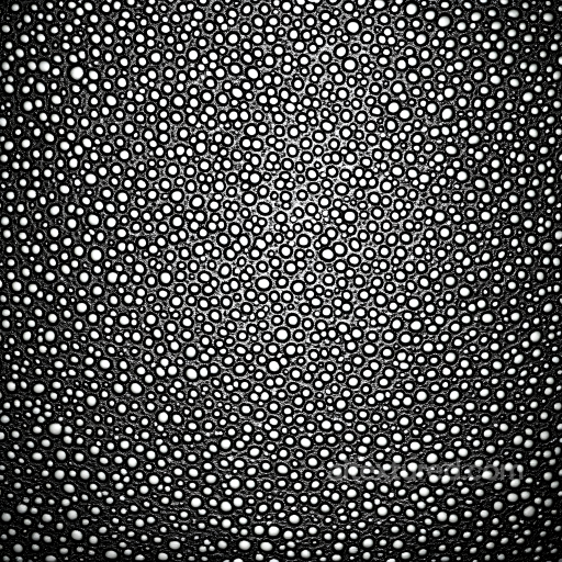 Skin PBR Texture Featuring Highly Porous Black and White Surface with Detailed Organic St… seamless Skin PBR texture