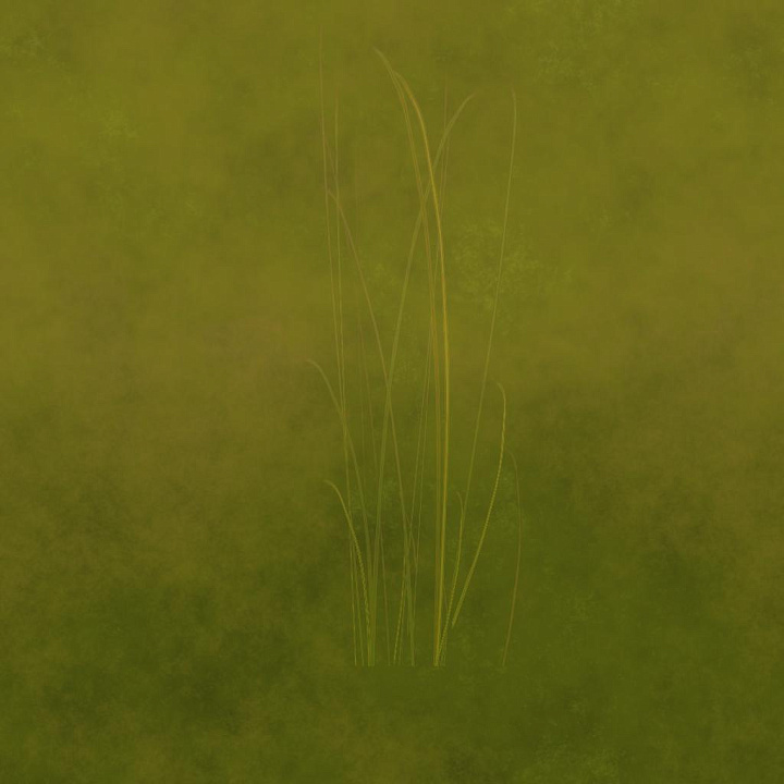 Long Grass seamless PBR texture preview