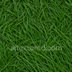 seamless Wet Grass Texture texture 1024x1024 free download PBR