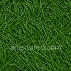 seamless Wet Grass Texture texture 8k free download PBR