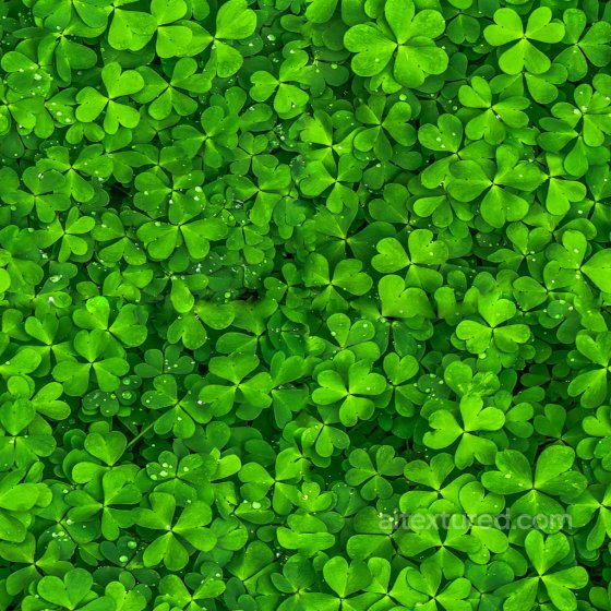 Seamless Clovers PBR Texture for Creative Projects Ground surface texture preview