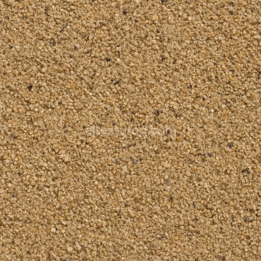 Coarse Sand Seamless Texture