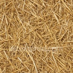 seamless Detailed Straw Seamless Texture texture 1024x1024 free download PBR