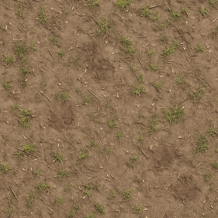 Dirt Dusty Surface With Muddy Spots And Scattered Seeds Asphalt seamless PBR texture preview