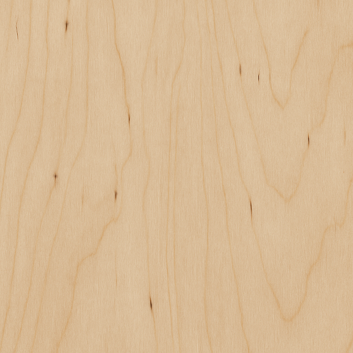 Matte Birch Wood seamless PBR texture preview