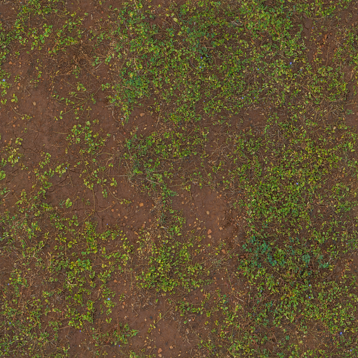 Grass Mud Moss seamless PBR texture preview