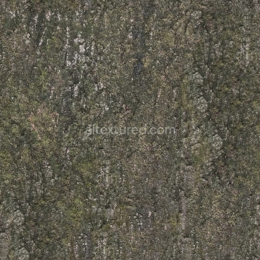 Seamless Bark 15 by Share Textures – PBR 3D Texture (8K ready)